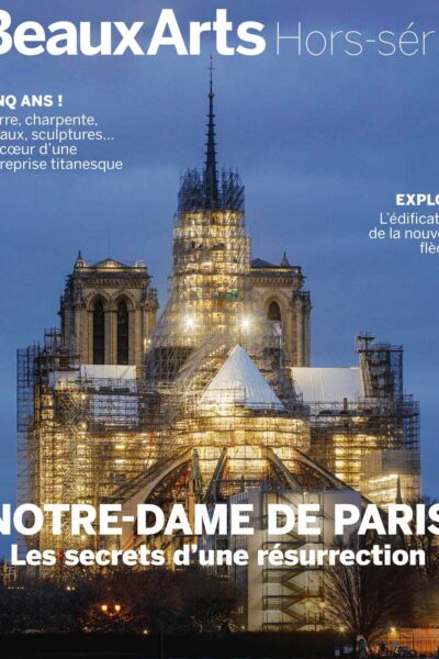 NOTRE-DAME DE PARIS, LES SECRETS D UNE RESURRECTION