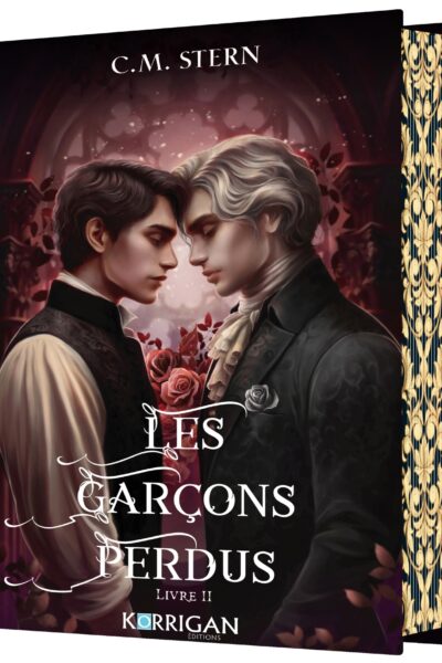 LES GARCONS PERDUS T02 COLLECTOR