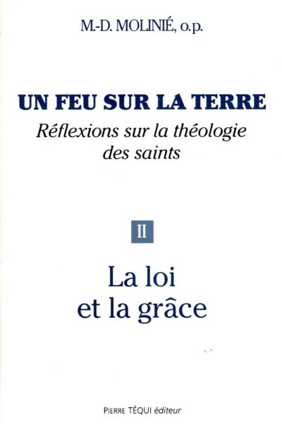 T2 UN FEU SUR LA TERRE