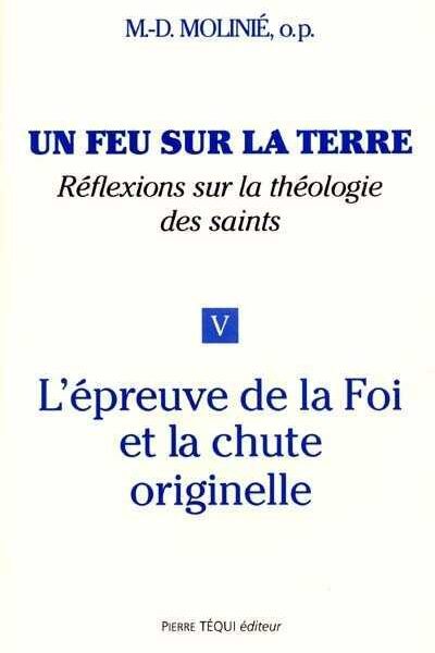 T V UN FEU SUR LA TERRE