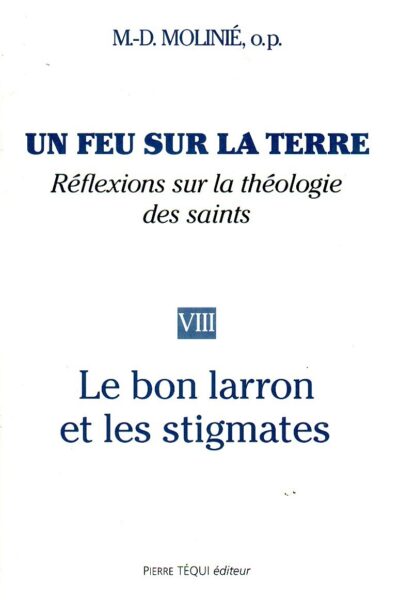 T VIII UN FEU SUR LA TERRE