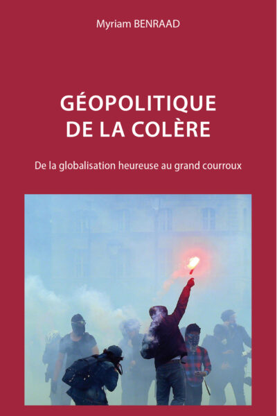 GEOPOLITIQUE DE LA COLERE - DE LA GLOBALISATION HEUREUSE AU GRAND COURROUX