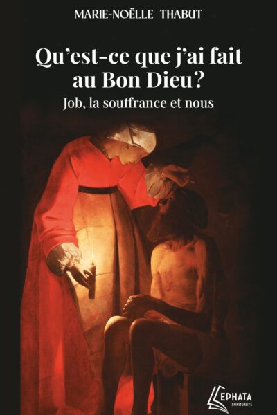 QU'EST-CE QUE J'AI FAIT AU BON DIEU ?