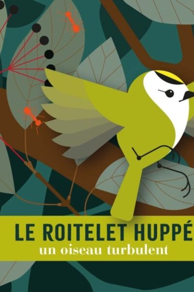 LE ROITELET HUPPE. UN OISEAU TURBULENT
