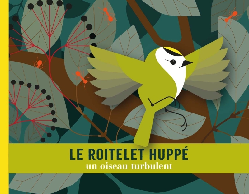 LE ROITELET HUPPE. UN OISEAU TURBULENT