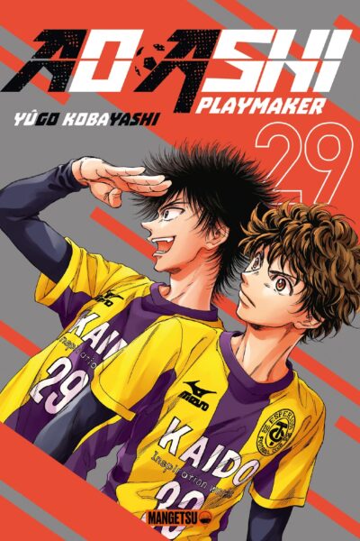 AO ASHI T29