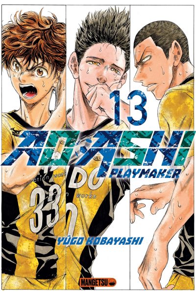AO ASHI T13