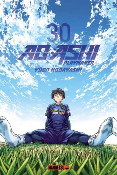 AO ASHI T30