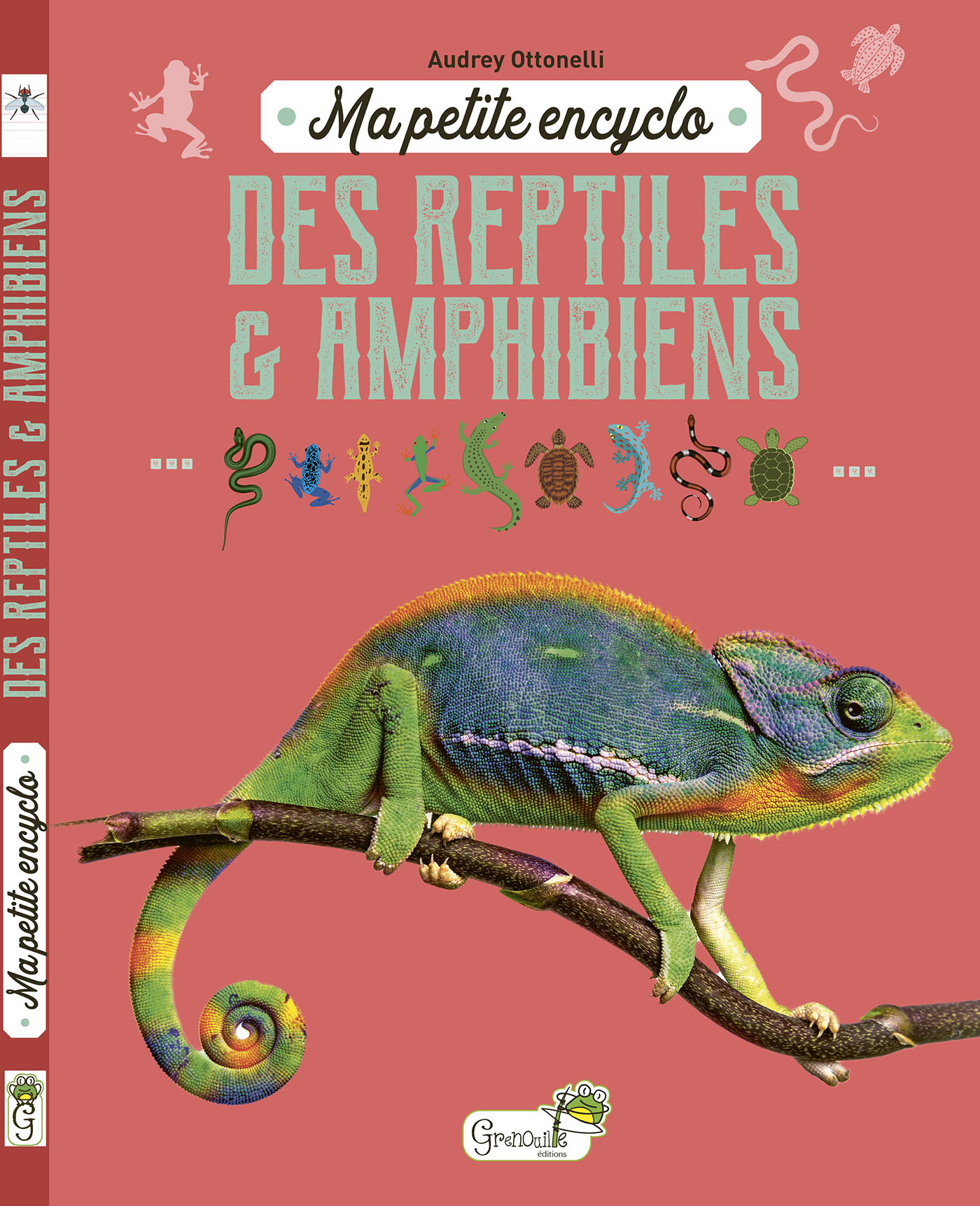 MA PETITE ENCYCLO DES REPTILES ET AMPHIBIENS