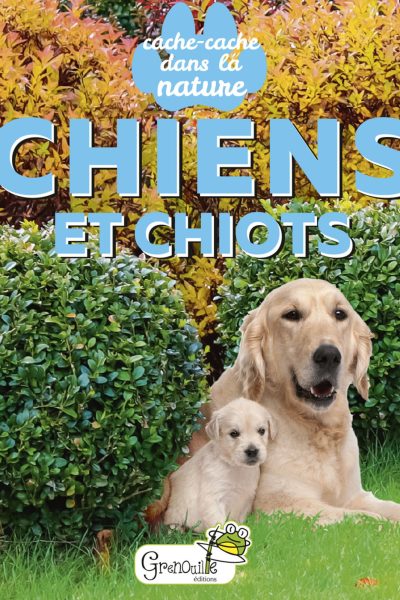 CHIENS ET CHIOTS - CACHE-CACHE DANS LA NATURE