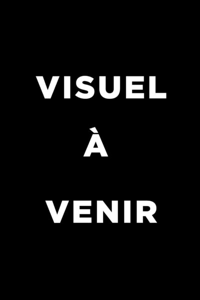 ANIMAL CROSSING : NEW HORIZONS - LE JOURNAL DE L'ÎLE T09
