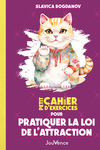 PETIT CAHIER D'EXERCICES POUR PRATIQUER LA LOI DE L'ATTRACTION