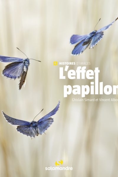 L'EFFET PAPILLON