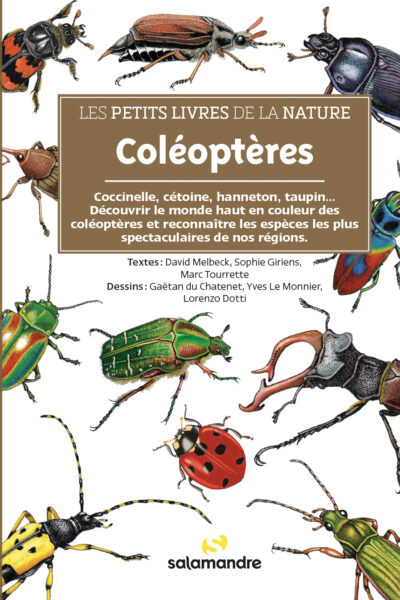 COLEOPTERES - LES PETITS LIVRES DE LA NATURE