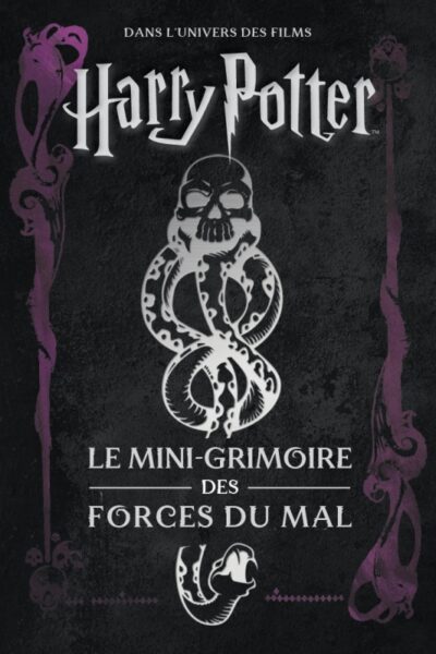LES MINI-GRIMOIRES HARRY POTTER T8: LES FORCES DU MAL