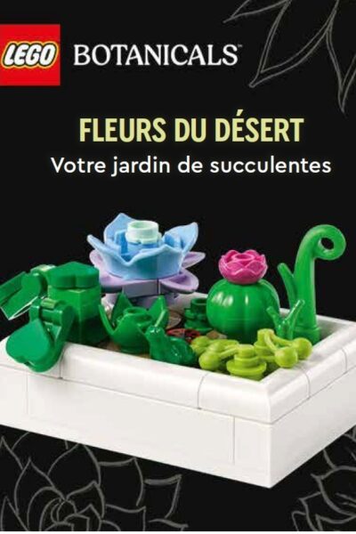 LEGO BOTANICALS, FLEURS DU DESERT