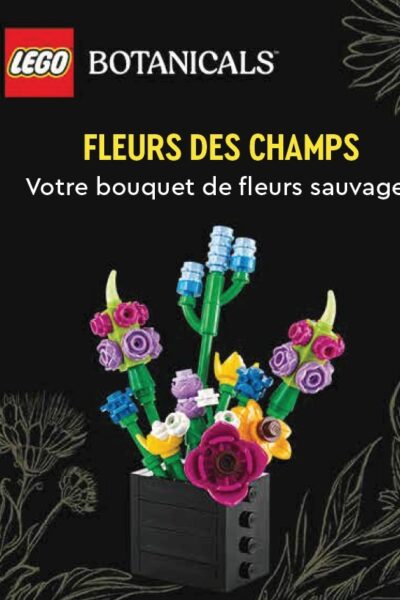 LEGO BOTANICALS, FLEURS DES CHAMPS