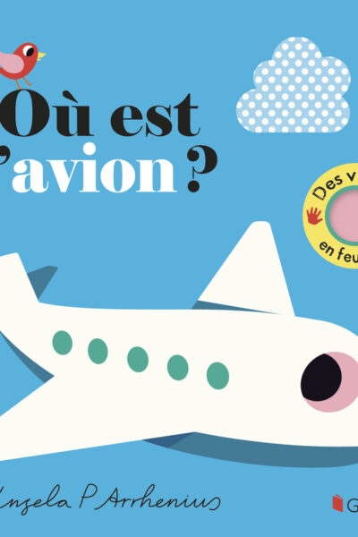 OÙ EST L'AVION ?