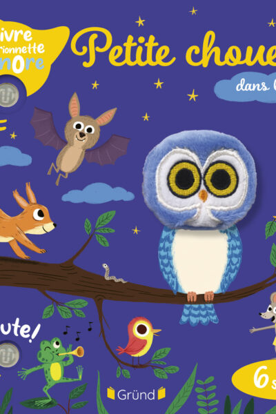 PETITE CHOUETTE DANS LA NUIT