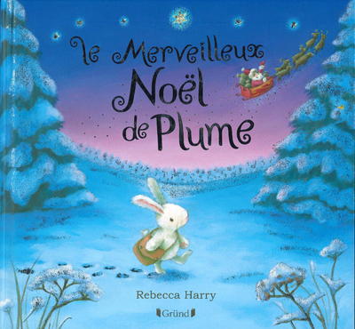 LE MERVEILLEUX NOËL DE PLUME (NE)