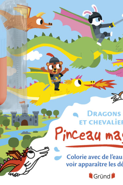PINCEAU MAGIQUE - DRAGONS ET CHEVALIERS