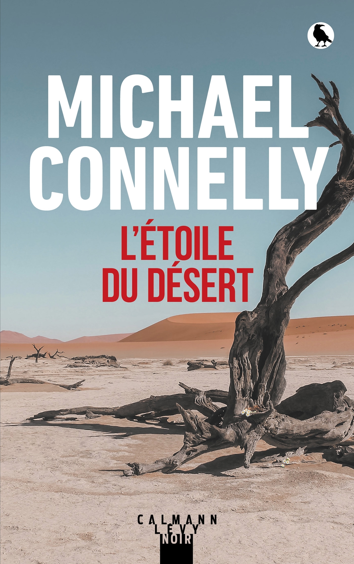 L'ETOILE DU DESERT