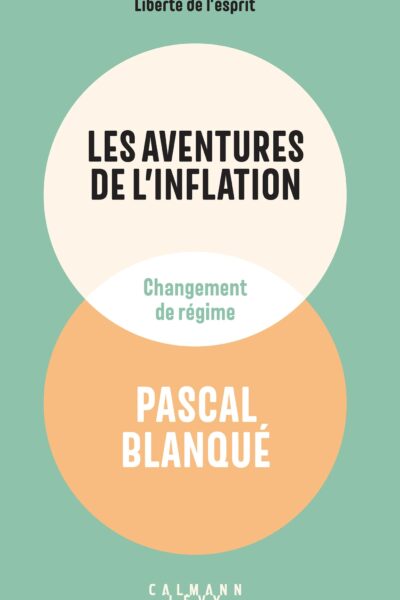 LES AVENTURES DE L'INFLATION - CHANGEMENT DE REGIME