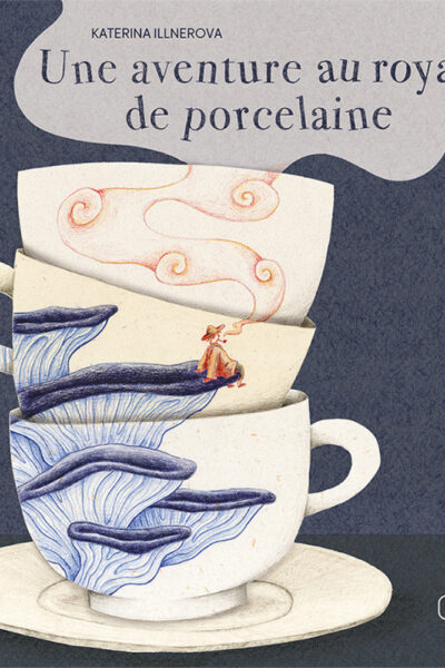 UNE AVENTURE AU ROYAUME DE PORCELAINE