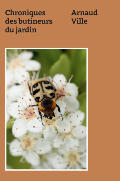 CHRONIQUES DES BUTINEURS DU JARDIN