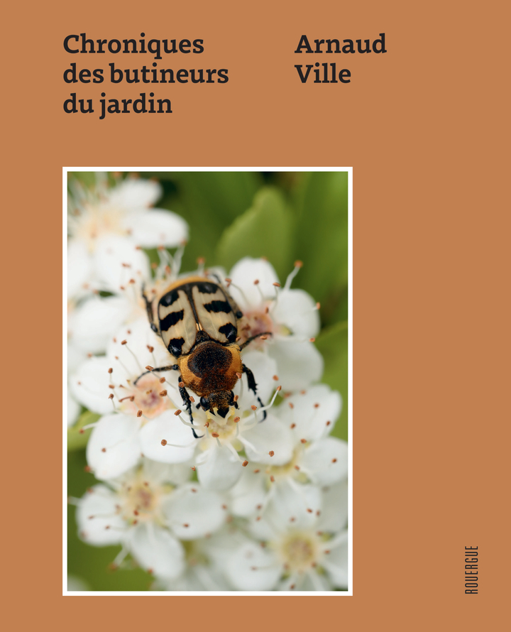 CHRONIQUES DES BUTINEURS DU JARDIN