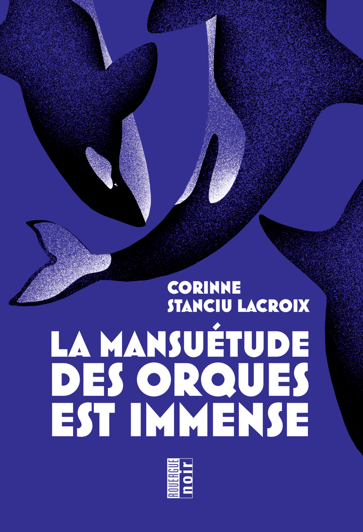 LA MANSUETUDE DES ORQUES EST IMMENSE