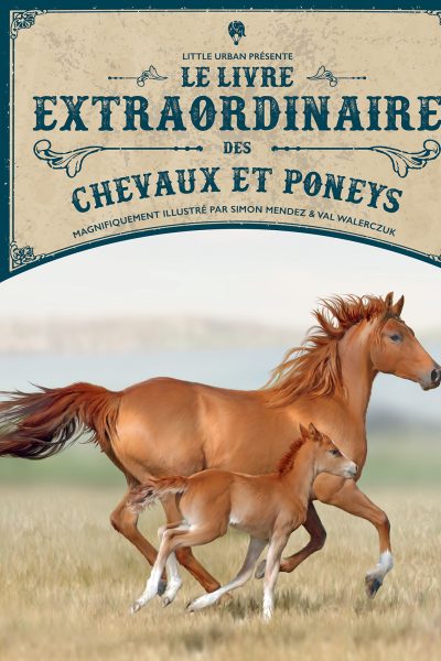 LE LIVRE EXTRAORDINAIRE DES CHEVAUX ET PONEYS
