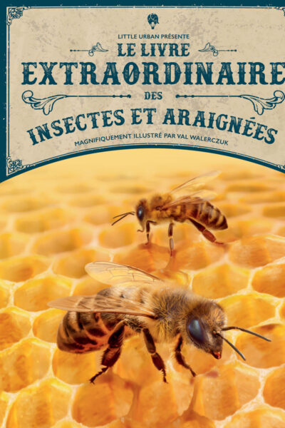 LE LIVRE EXTRAORDINAIRE DES INSECTES ET ARAIGNEES