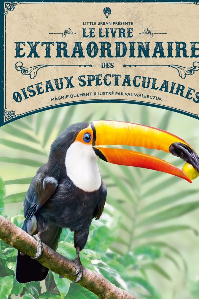 LE LIVRE EXTRAORDINAIRE DES OISEAUX SPECTACULAIRES