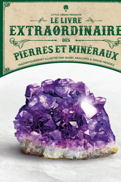 LE LIVRE EXTRAORDINAIRE DES PIERRES ET MINERAUX