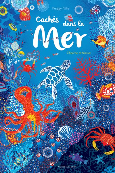 CACHES DANS LA MER - CHERCHE ET TROUVE