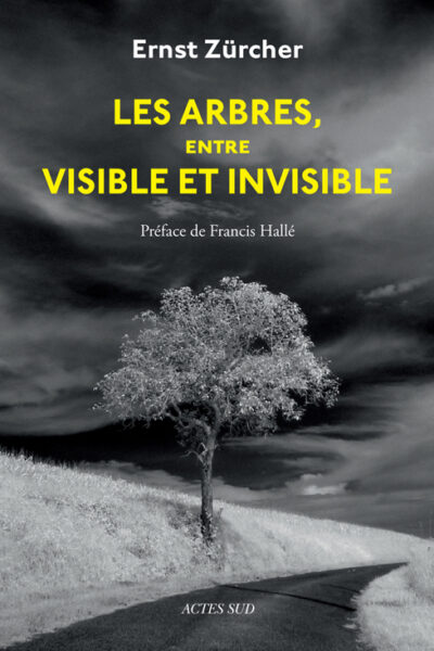 LES ARBRES, ENTRE VISIBLE ET INVISIBLE