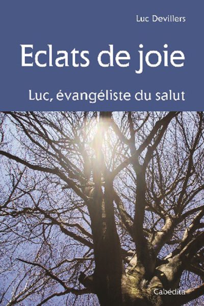 ECLATS DE JOIE LUC L EVANGILE DU SALUT