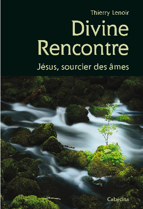 DIVINE RENCONTRE JESUS SOURCIER DES AMES