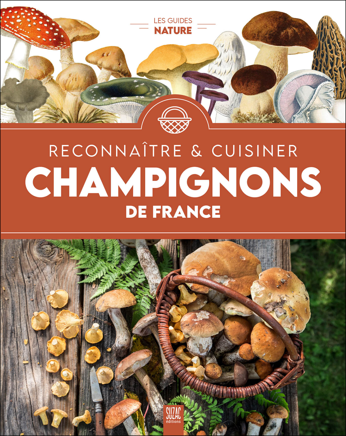 CHAMPIGNONS DE FRANCE, RECONNAITRE & CUISINER