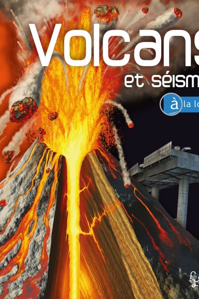 VOLCANS ET SEISMES
