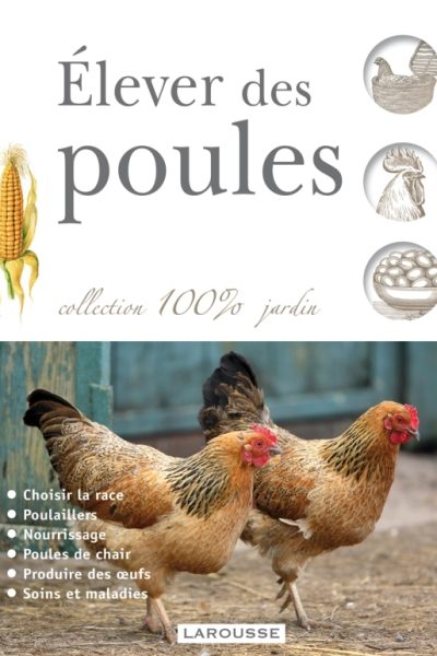ELEVER DES POULES