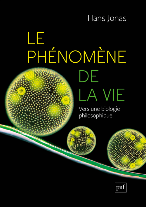 LE PHÉNOMÈNE DE LA VIE. VERS UNE BIOLOGIE PHILOSOPHIQUE