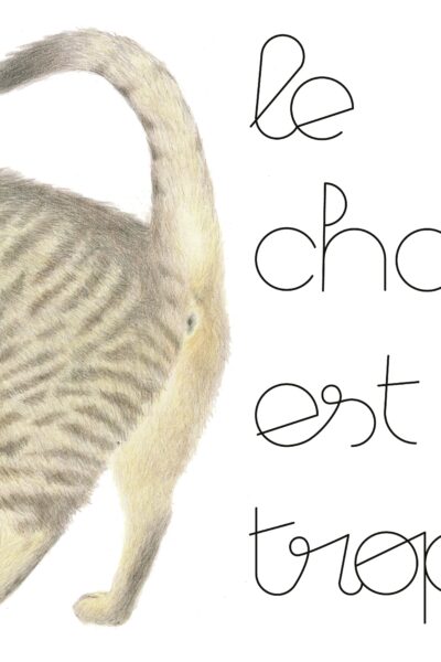 LE CHAT EST TROP