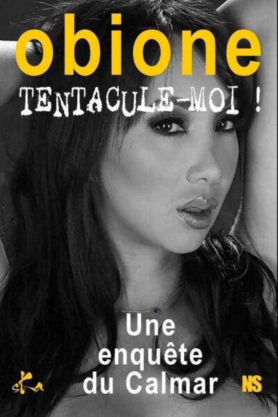 T2 JOURNAL D'UN NOOB (SUPER-GUERRIER)