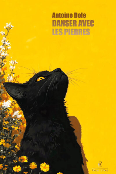 DANSER AVEC LES PIERRES
