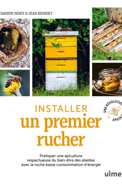 INSTALLER UN PREMIER RUCHER