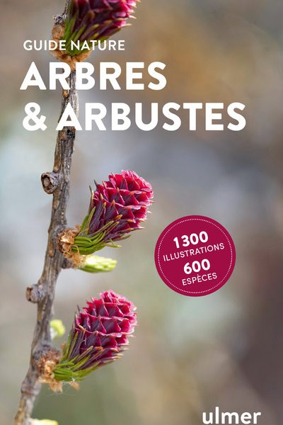 ARBRES ET ARBUSTES