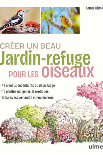 CREER UN BEAU JARDIN-REFUGE POUR LES OISEAUX