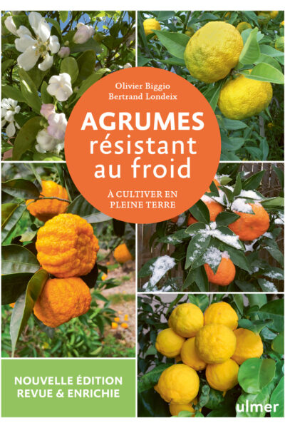 AGRUMES RESISTANT AU FROID - A CULTIVER EN PLEINE TERRE